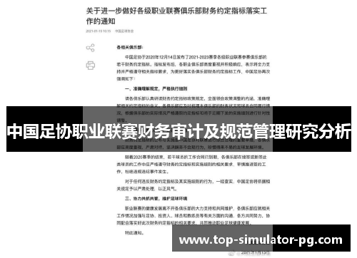 中国足协职业联赛财务审计及规范管理研究分析