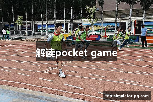 解读pocket game